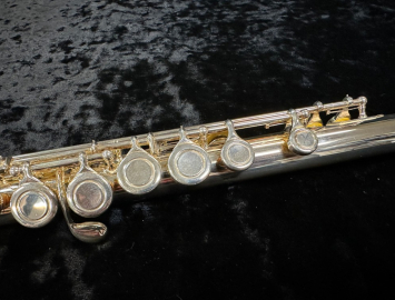 Photo Very Nice! Eastman EFL210 Flute in Silver Plate #14690405